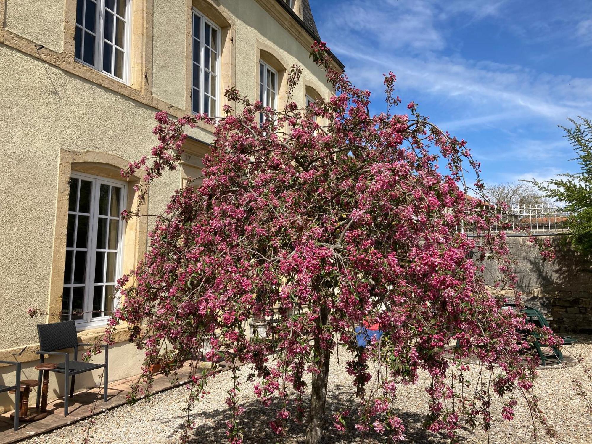 Maison Les Beaux Arts Bed & Breakfast Mouzay  Exterior photo